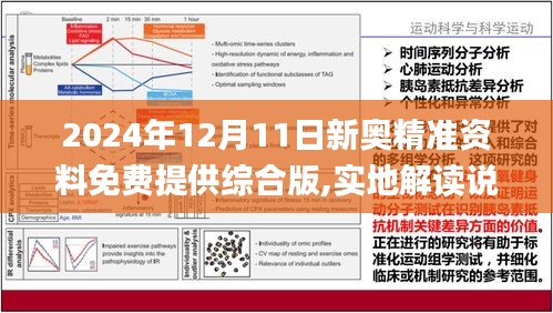 2025新奥正版免费大全，全面解析、专家解读与警惕虚假宣传